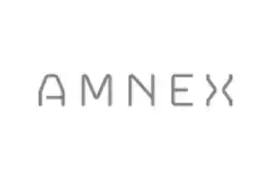 AMNEX logo - Technology solutions customer
