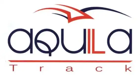 Multi-function IoT device with GPS and sensor capabilities