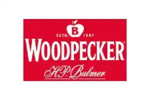 Woodpecker logo - Business services customer